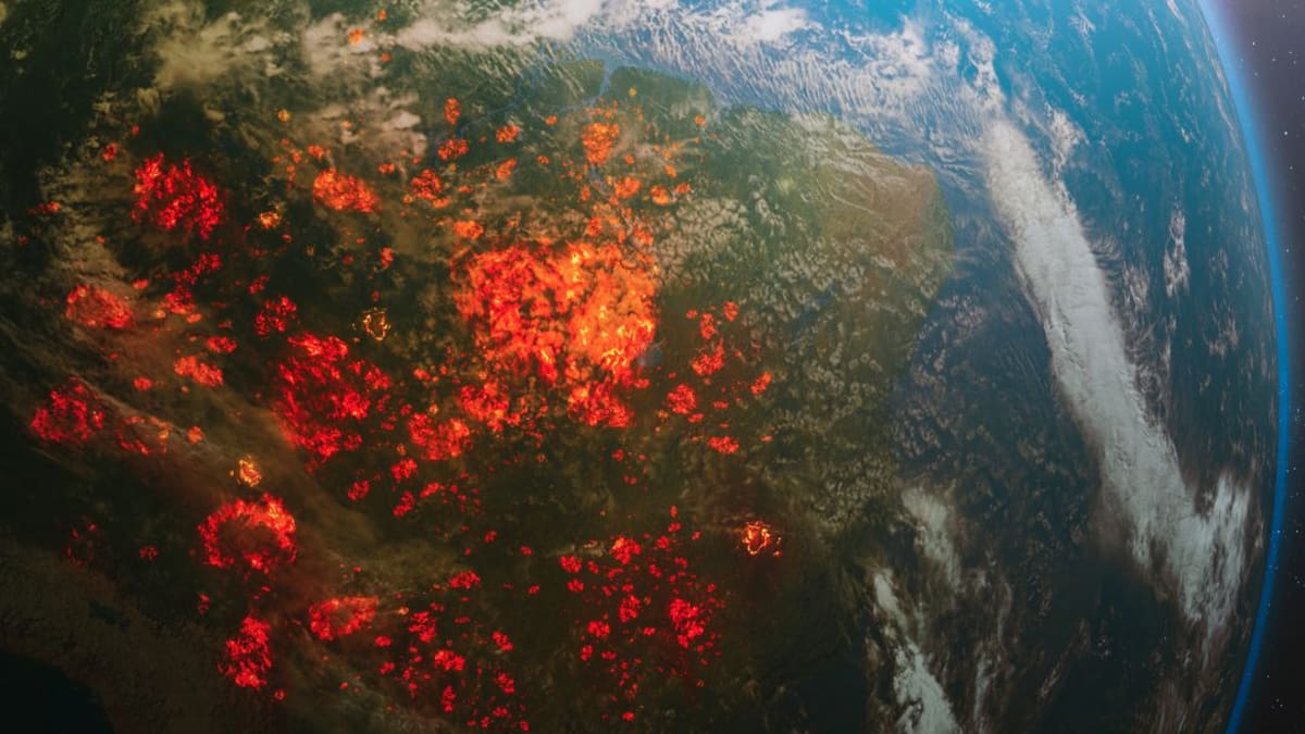 Incendios en Colombia: conozca la plataforma clave para su análisis