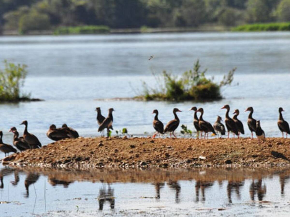 Embalse El Paujil se ha convertido en un oasis para la región Caribe