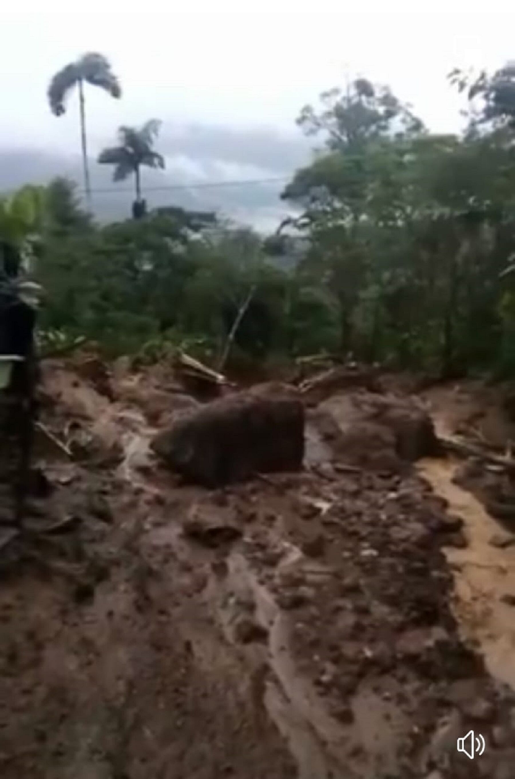 Incomunicado Huila con Putumayo por deslizamiento de tierra