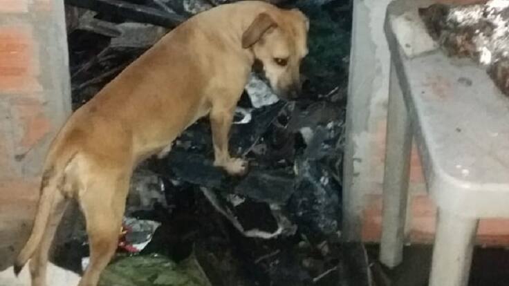 Incendio Villas de Girardot