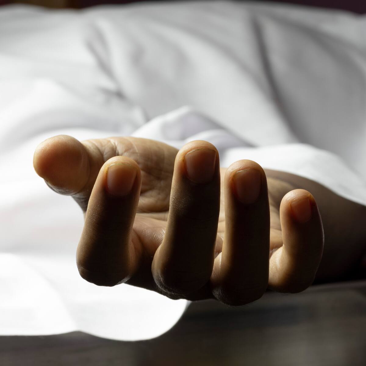 Medicina Legal confirmó que recibió cinco cadáveres de las operaciones militares en El Catatumbo