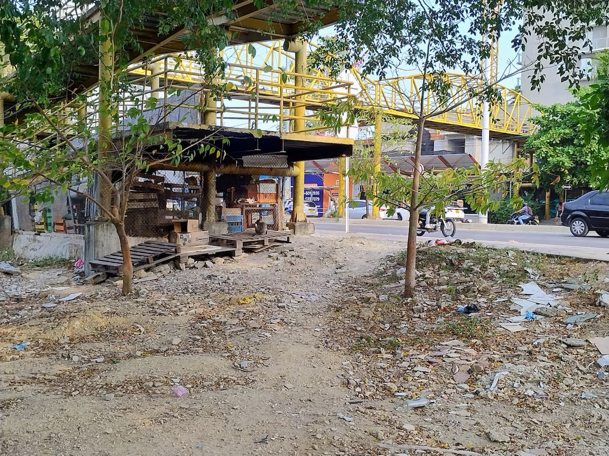 En Los Caracoles pidieron acelerar reubicación de gatos que habitan refugio