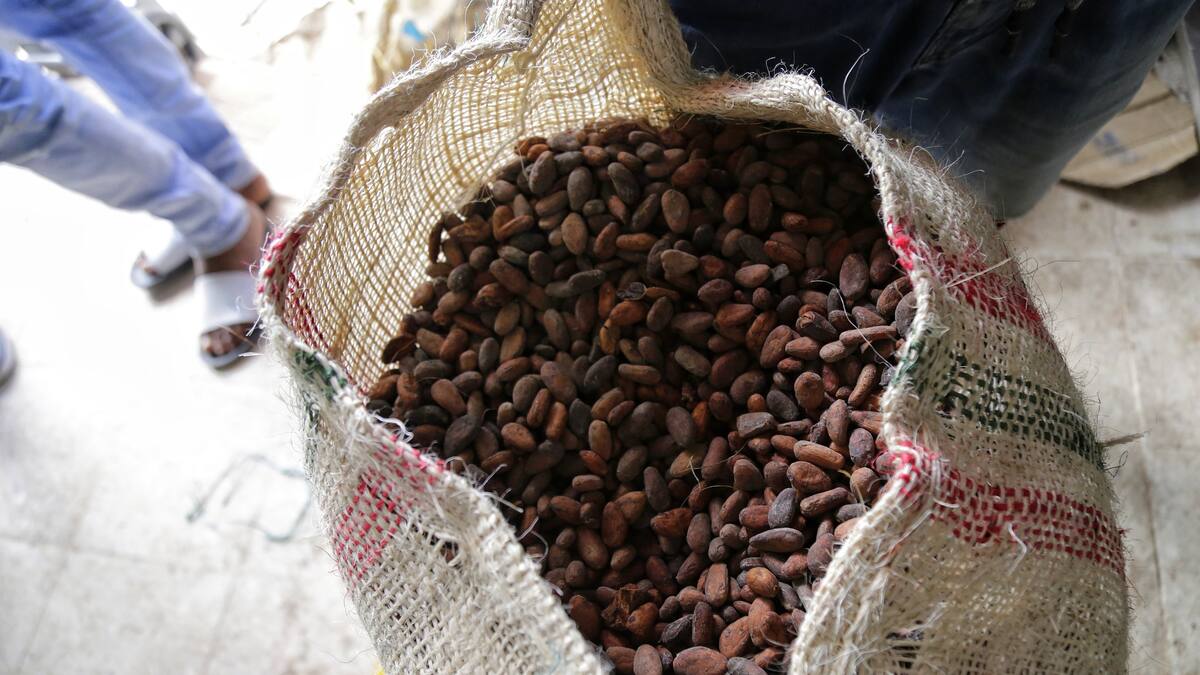Una finca cafetera adaptada a los retos del cambio climático desarrollan en el Huila