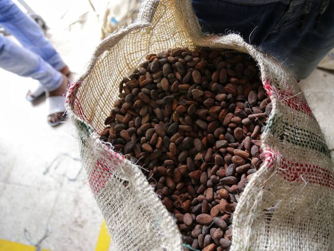 Una finca cafetera adaptada a los retos del cambio climático desarrollan en el Huila