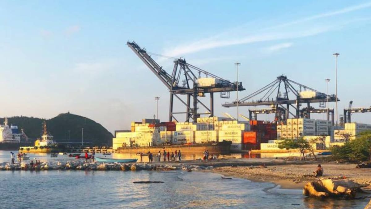 Puerto de Santa Marta ha exportado este año 543 contenedores de uchuva