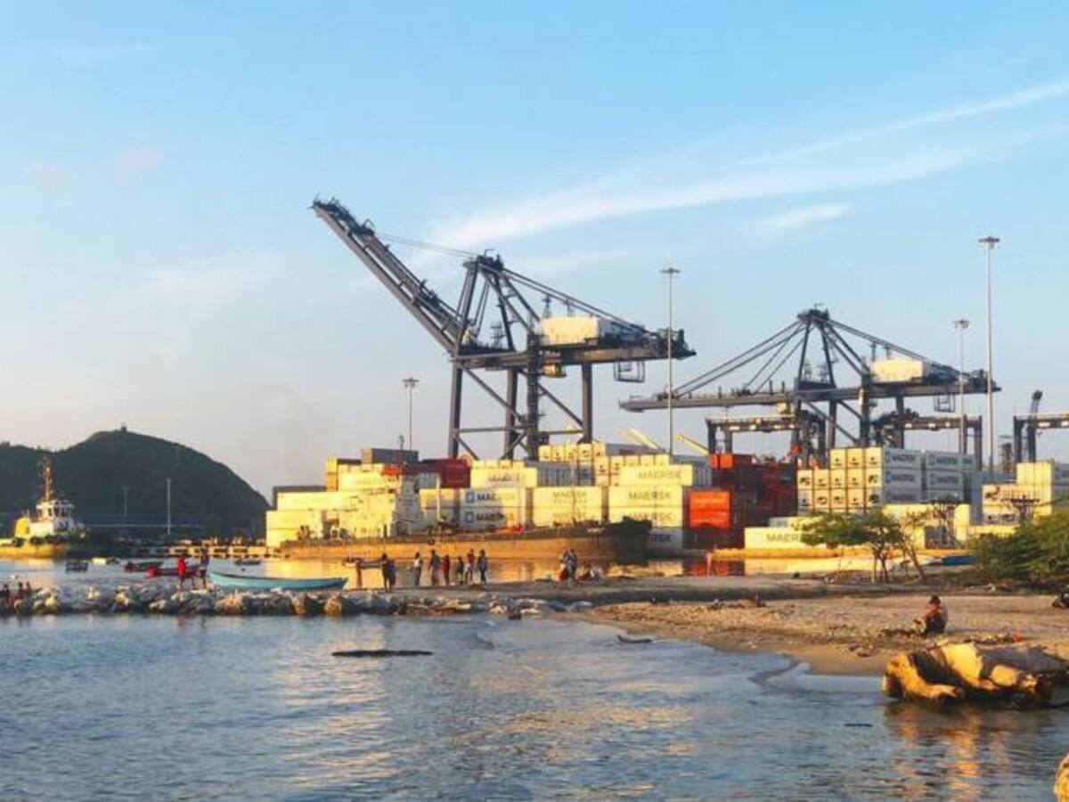 Puerto de Santa Marta ha exportado este año 543 contenedores de uchuva