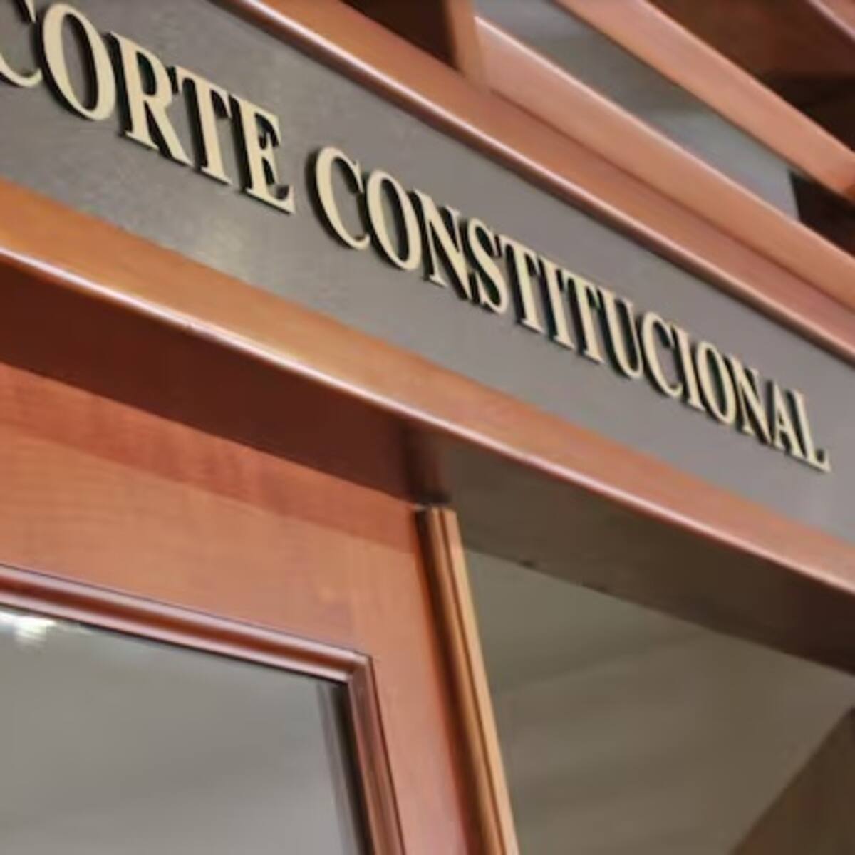 Solicitan revisión a la Corte Constitucional de tutela que busca medidas para la seguridad ciudadana