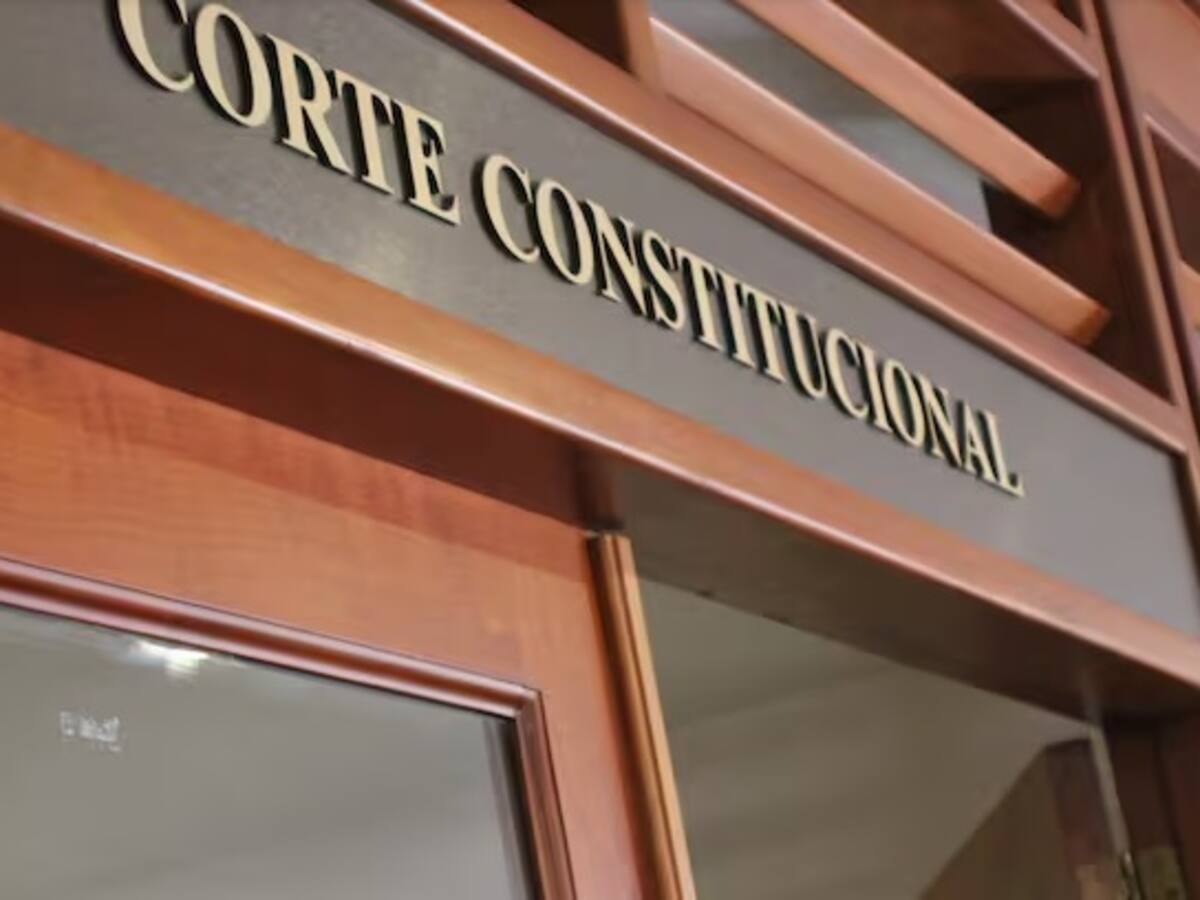 Solicitan revisión a la Corte Constitucional de tutela que busca medidas para la seguridad ciudadana