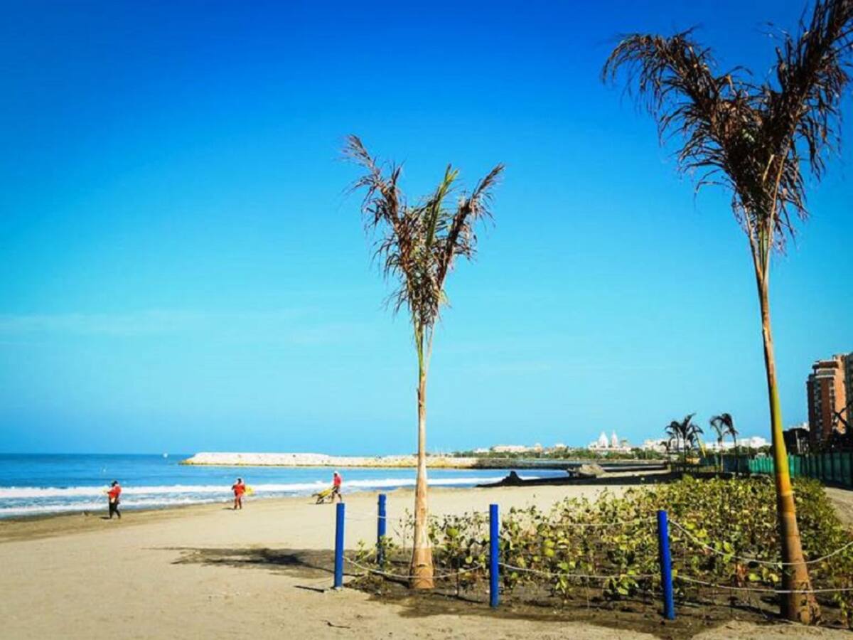 Funcicar advierte falta de información sobre contratos para protección costera