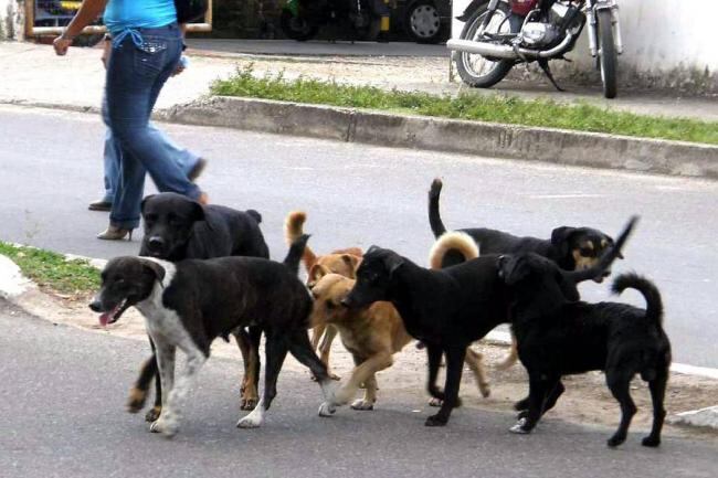 El propósito es ofrecer un espacio digno y adecuado para la atención. Foto Redes Sociales.