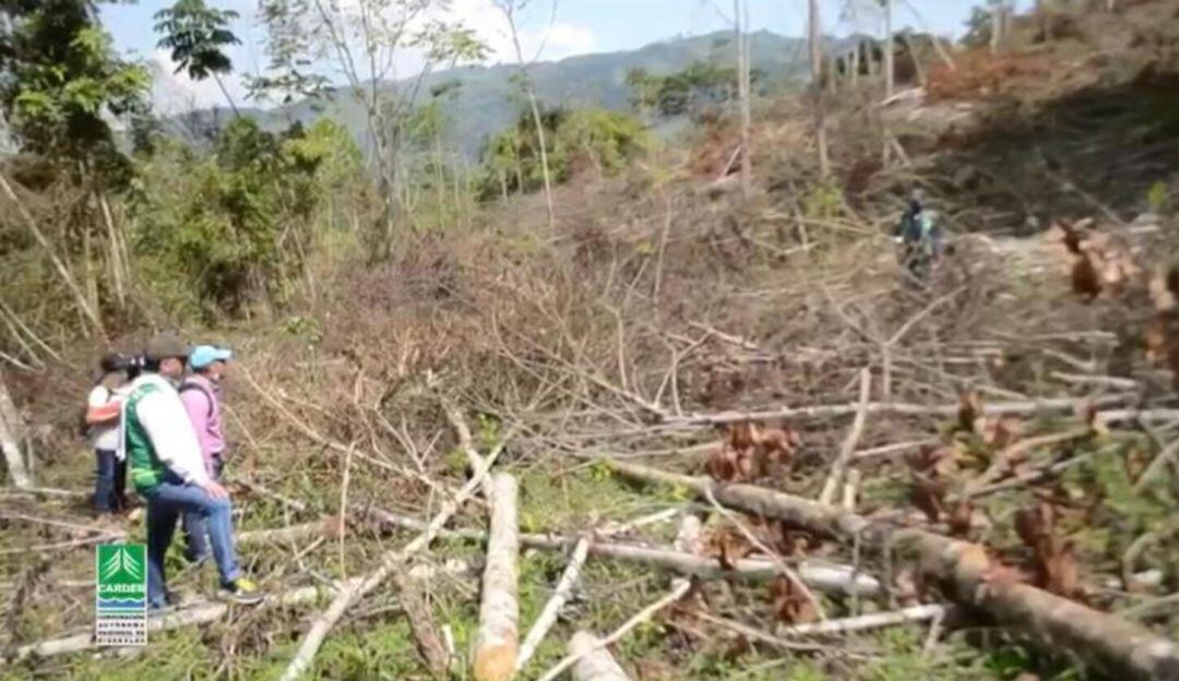  Distrito de Manejo Integrado El Guásimo.