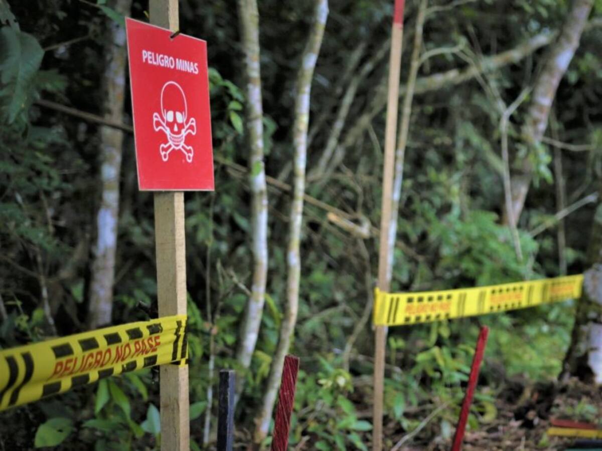 Comunidad indígena en riesgo por campo minado en Timbiquí, Cauca