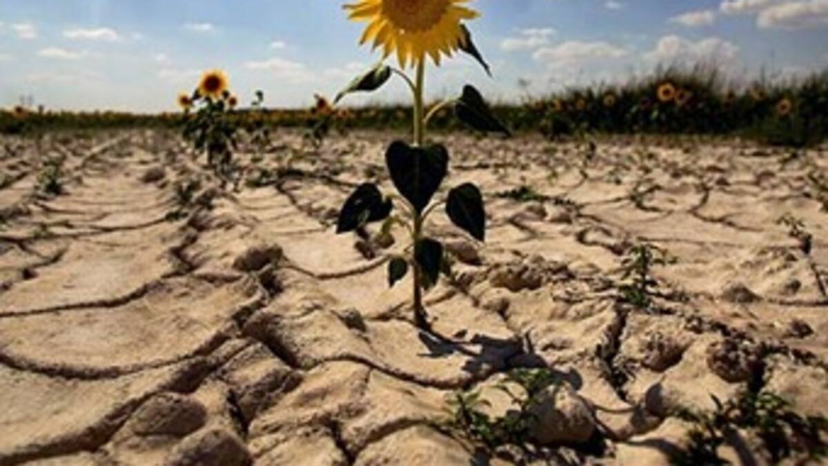 Mecanismos de mercado mitigarían efectos del cambio climático