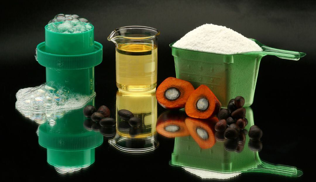 Productos elaborados a partir de la palma de aceite