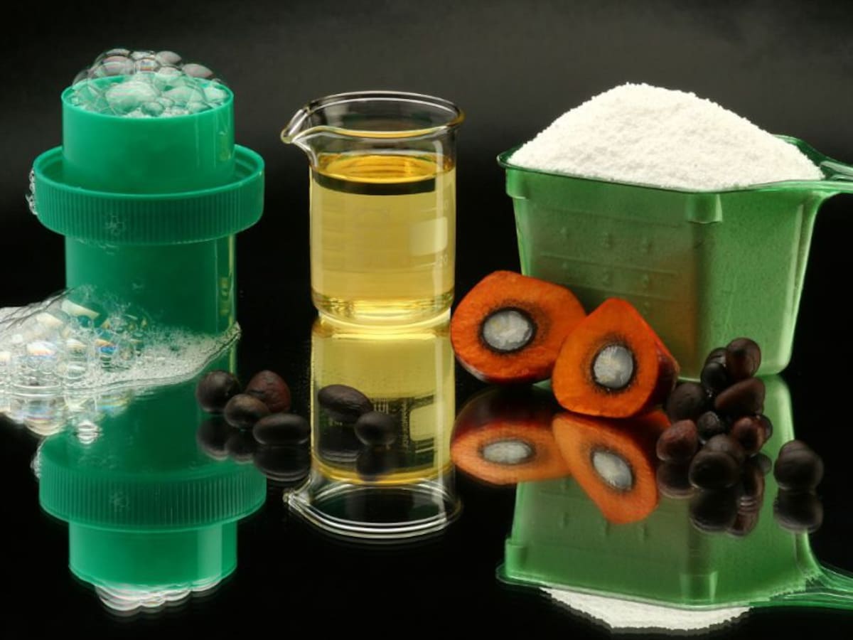 Producción de aceite de palma creció 7,8% pese a crisis por Covid 19