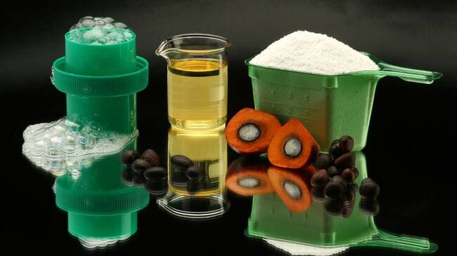 Productos elaborados a partir de la palma de aceite