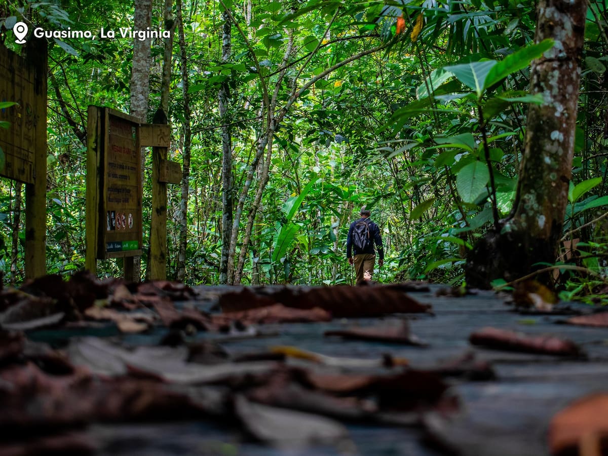 Sector hotelero de Risaralda busca recuperar pérdidas del primer semestre