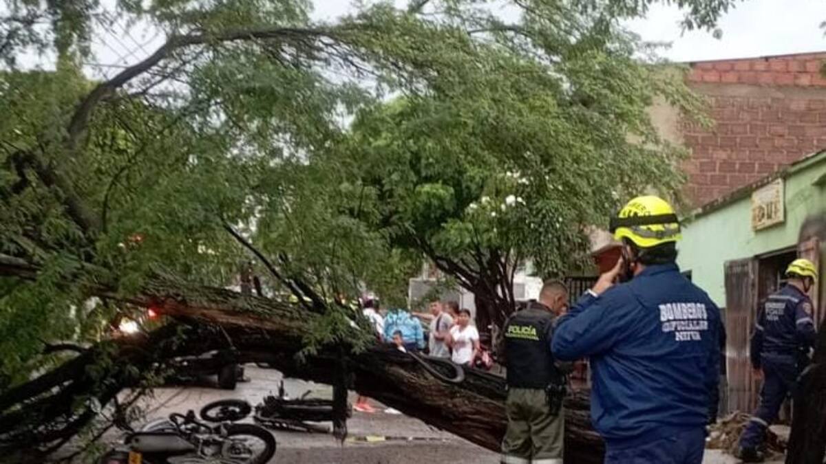 En Neiva, un árbol caído deja a dos motociclistas heridos