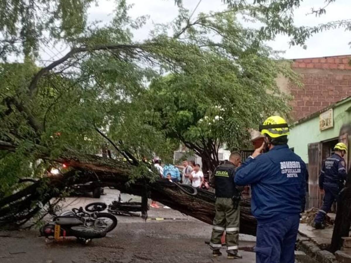 En Neiva, un árbol caído deja a dos motociclistas heridos