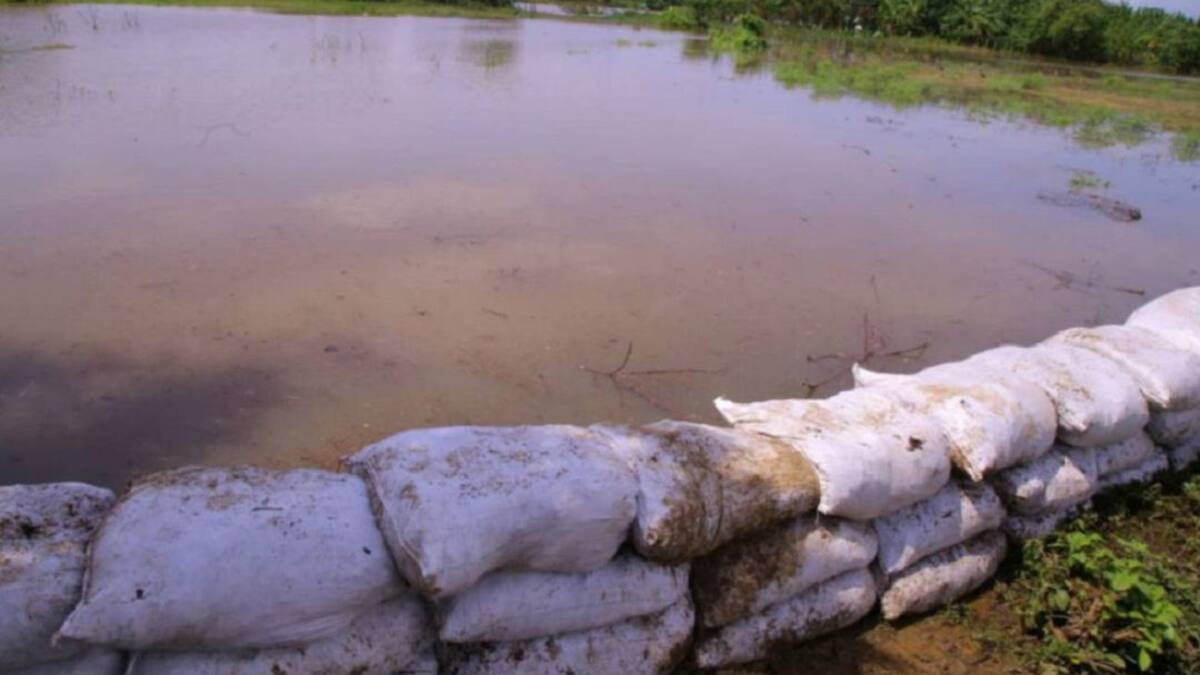 Fuertes lluvias afectan cultivos en el sur del Atlántico