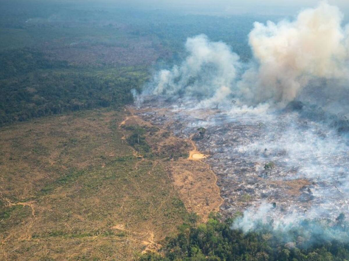 Inició otra fase del plan ‘Artemisa’ en la Serranía del Chiribiquete