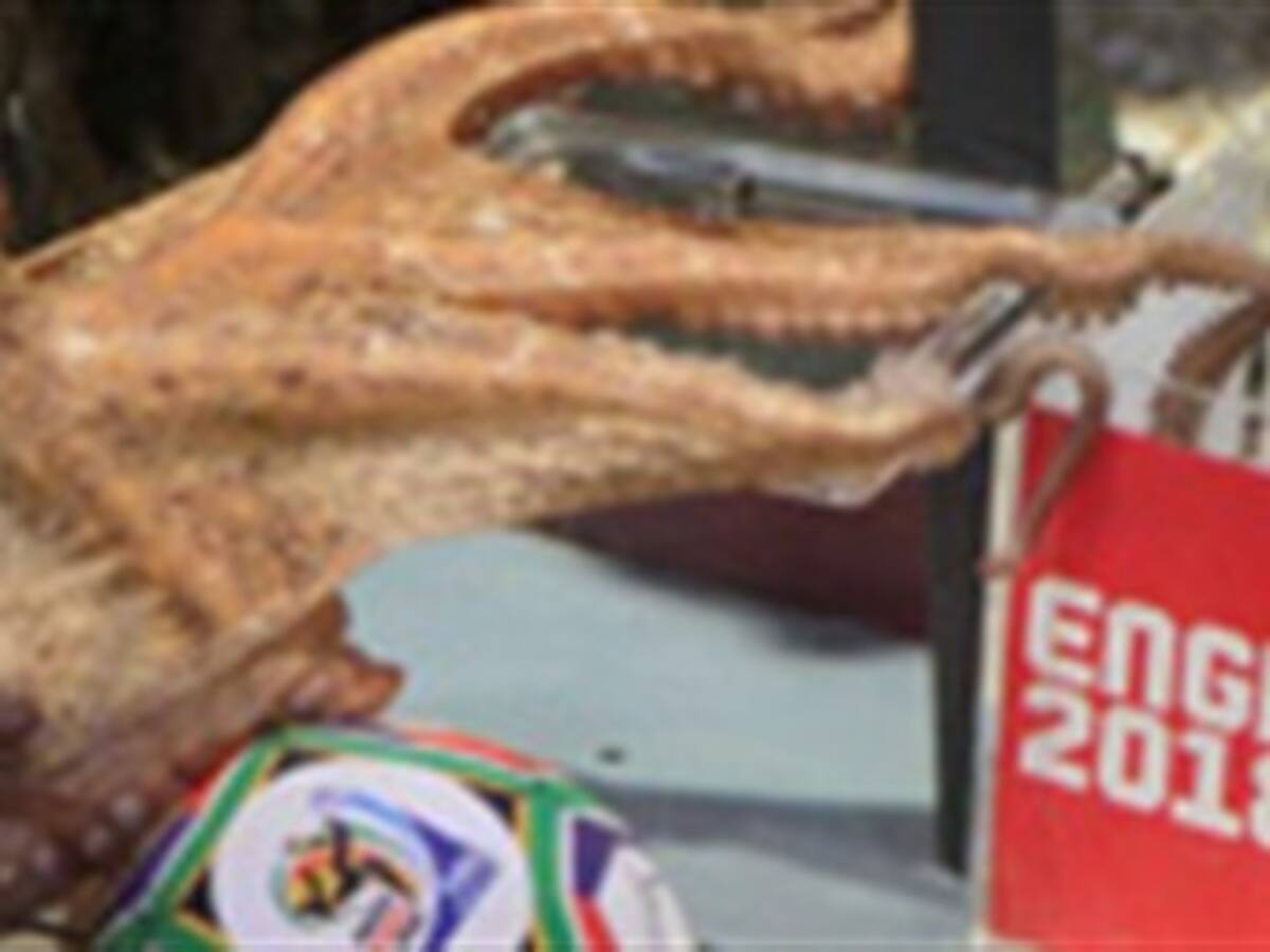 El pulpo Paul apoyará la candidatura de Inglaterra para el Mundial 2018