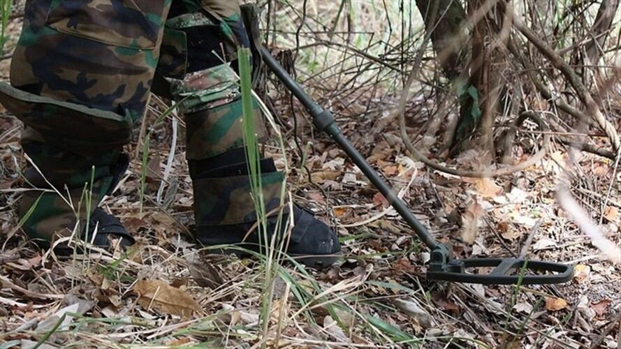 Farc pueden participar en desminado humanitario pero de ben cumplir varios compromisos. Foto: Colprensa