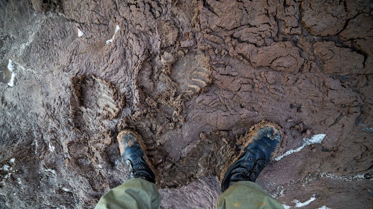 “X: El francotirador rebelde”: una historia en donde al protagonista la guerra le quitó todo.