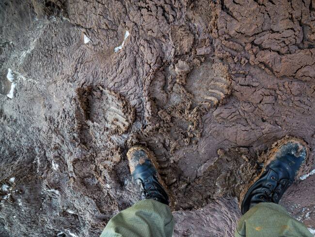 “X: El francotirador rebelde”: una historia en donde al protagonista la guerra le quitó todo.