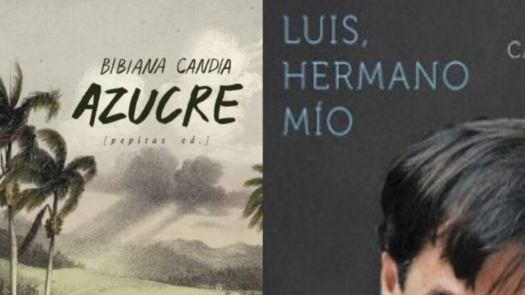 Detalles de la obra 'Luis Hermano Mio', escrito por Beatriz Caballero