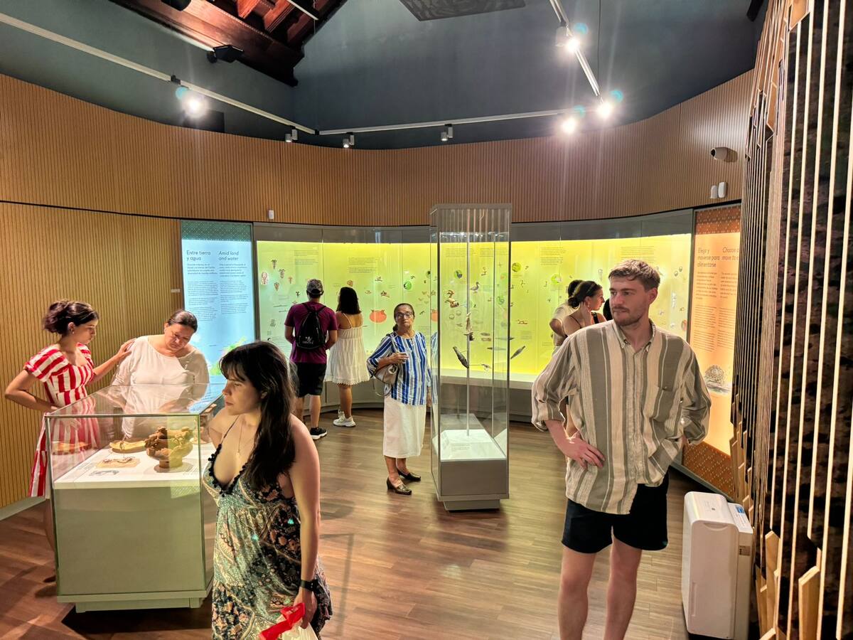 Museos gratis en Cartagena este 26 de septiembre durante “La Noche del Patrimonio”