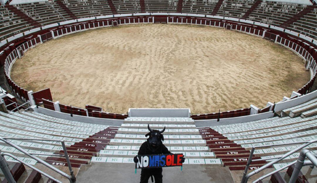 Este domingo la famosa plaza de toros de Bogotá abre sus puertas para celebrar la vida, la protección y el cuidado animal. 