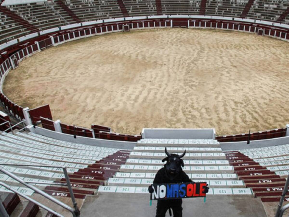 Este domingo en Bogotá 'La Santamaría es vida'