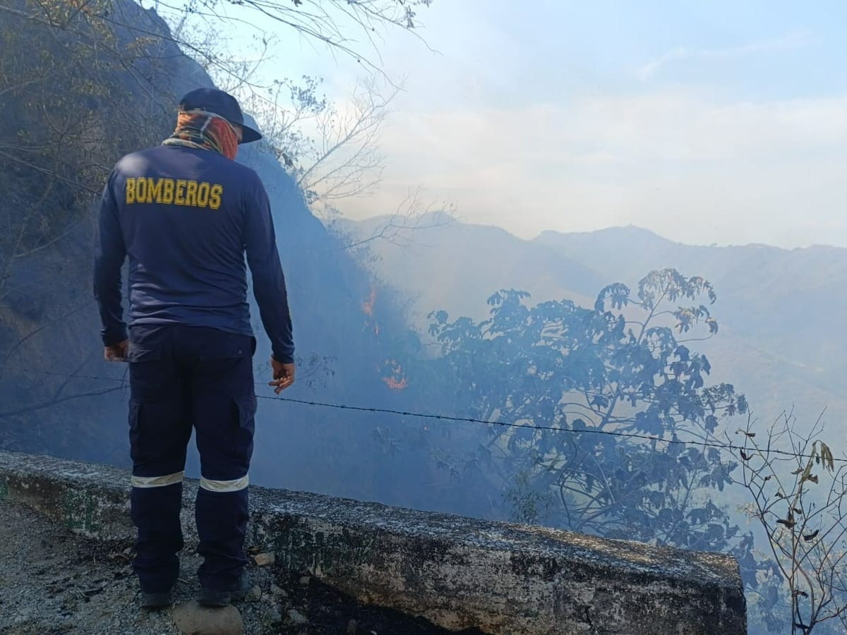 “Las capacidades están colapsando”: secretaria de Gestión del Riesgo del Tolima sobre incendios