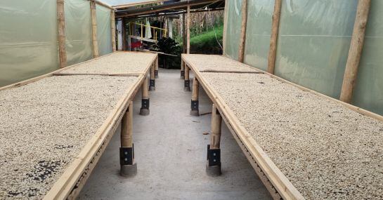 Café de Guateque, en Boyacá.