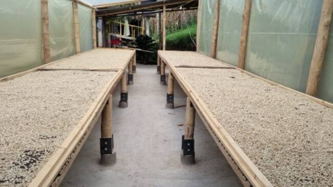 Café de Guateque, en Boyacá.