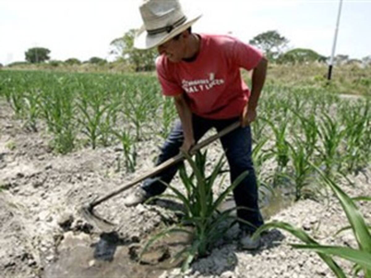 Gobierno buscará crear caja de compensación familiar para los campesinos: Minagricultura
