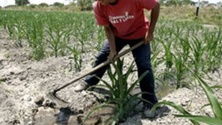 Gobierno buscará crear caja de compensación familiar para los campesinos: Minagricultura
