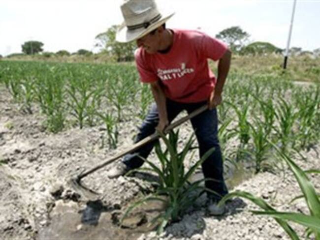Gobierno buscará crear caja de compensación familiar para los campesinos: Minagricultura