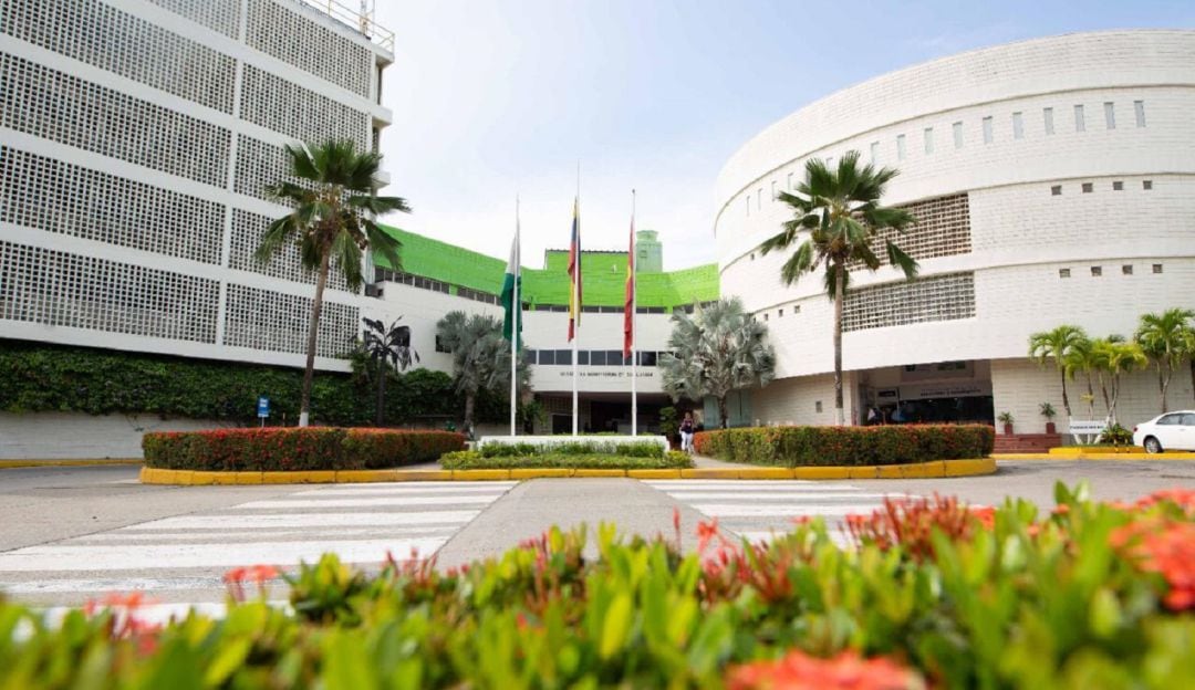 Van dirigidas a estudiantes y profesionales de las áreas de las ciencias básicas, ingeniería y medicina, al igual que a centros de investigación