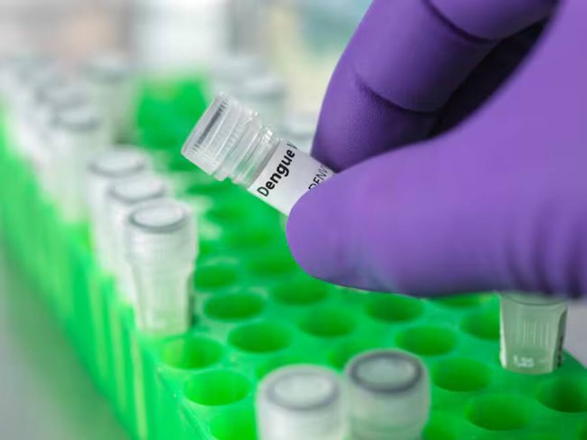 Aumentan de manera acelerada los contagios de dengue en Pereira, ya son más de 400 casos