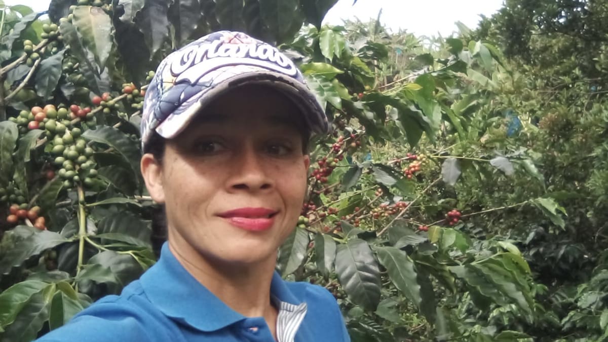 El café, su presente y su futuro, según joven productora de Risaralda, Jenny Castaño