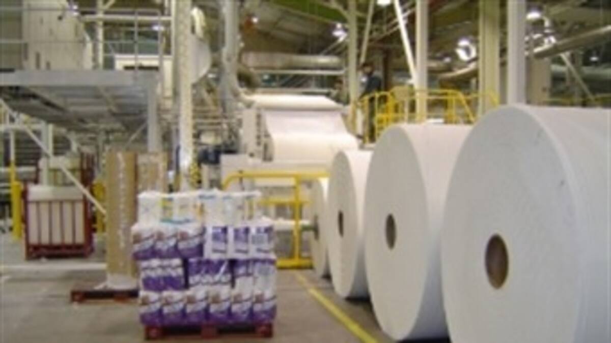 Procesos limpios en industria del papel