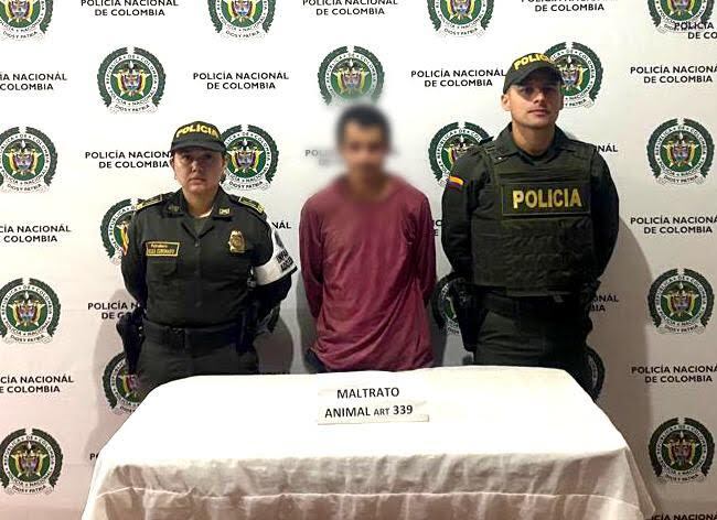 El señalado maltratador fue dejado a disposición de las autoridades. Foto: Policía Antioquia.