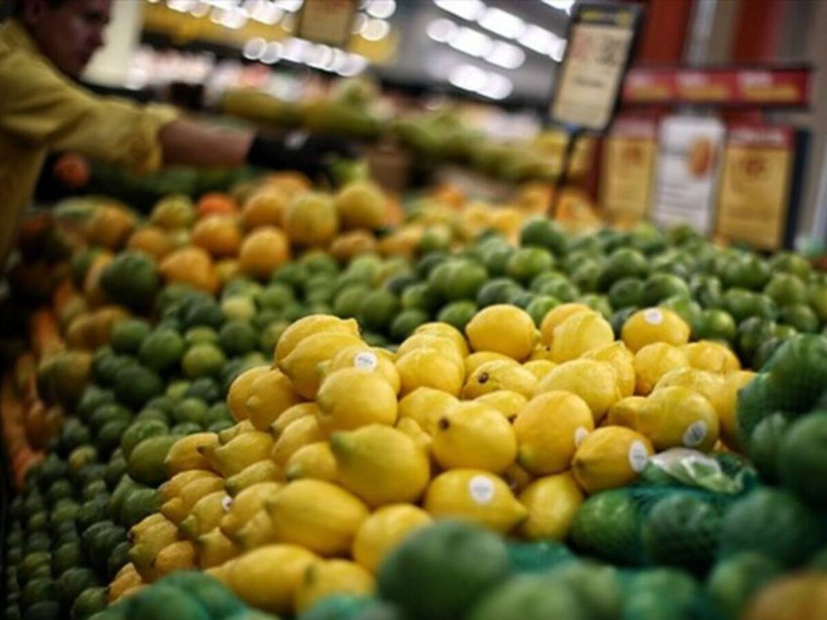 Una nueva empresa exportadora llegará a Pereira