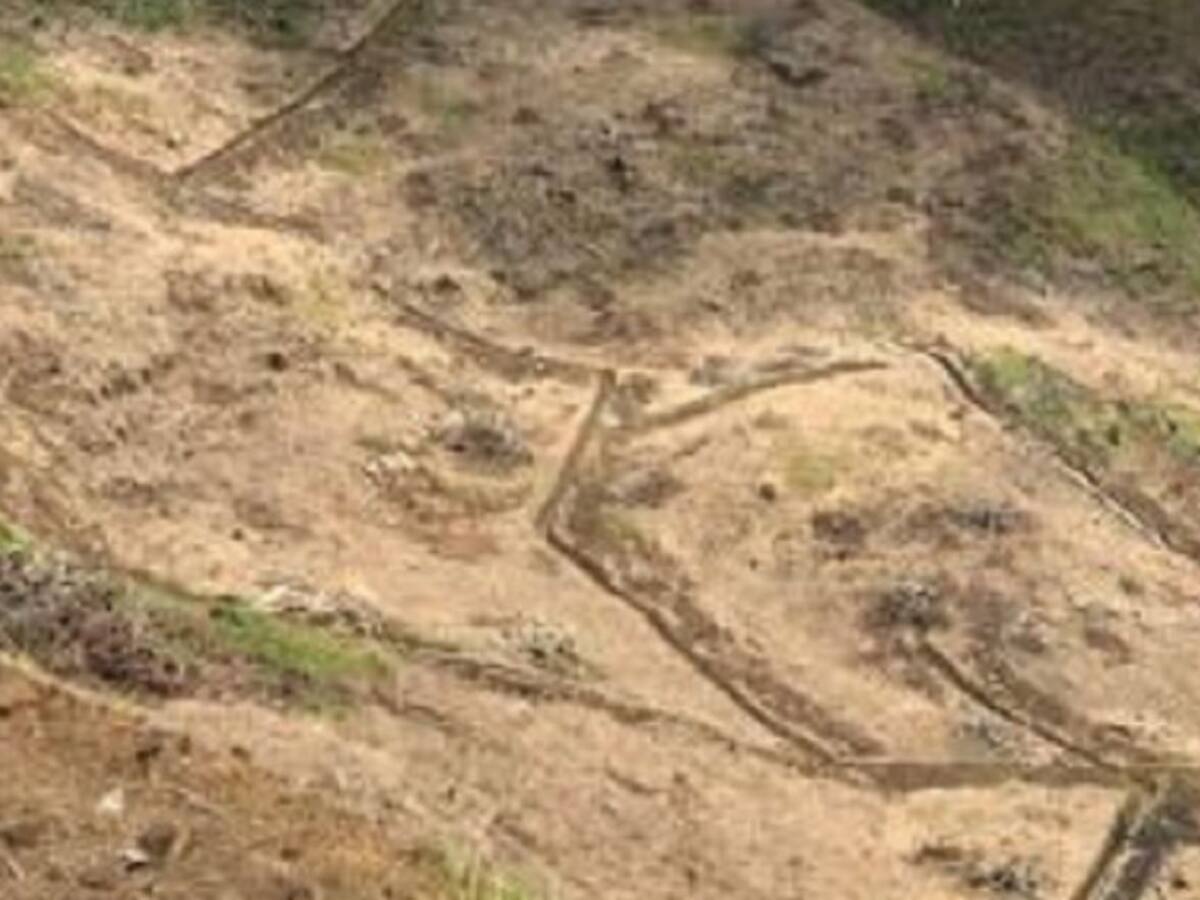 Sancionan empresa aguacatera por daño ambiental en Salento, Quindío