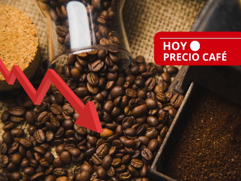 ¿Continúa a la baja? Precio café HOY 20 de junio en Colombia: valor oficial de la carga, según FNC