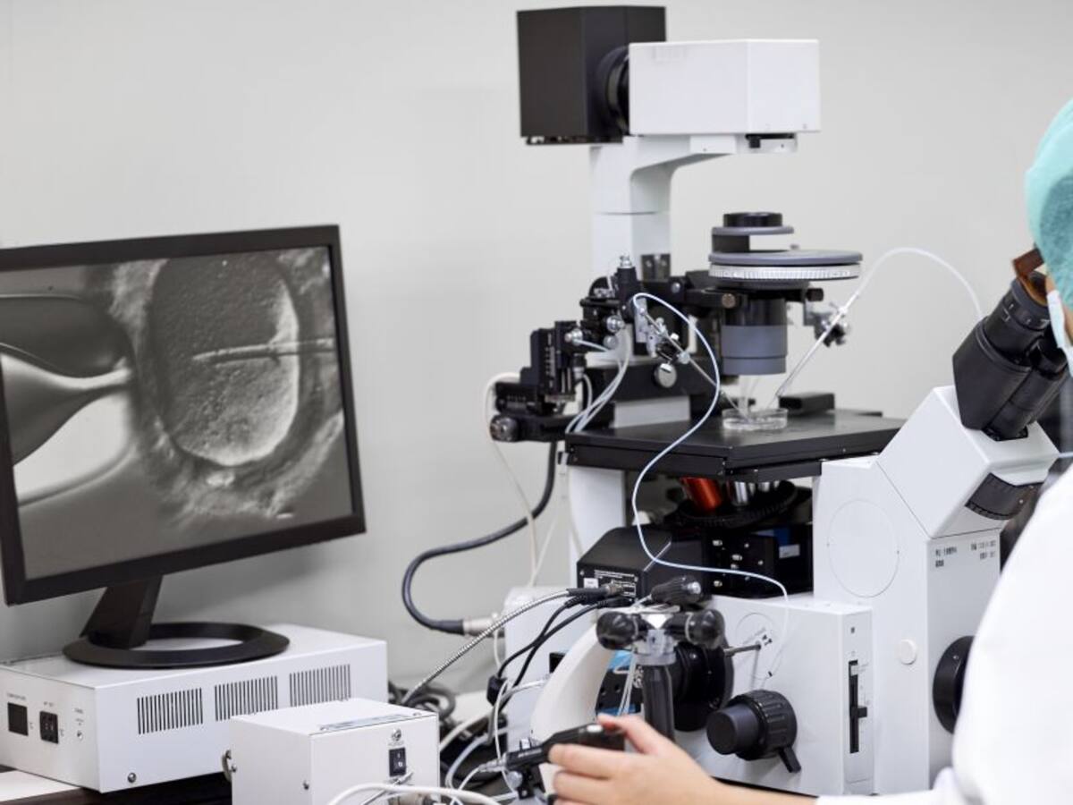 Estado debe garantizar fertilización in vitro de pareja de bajos recursos