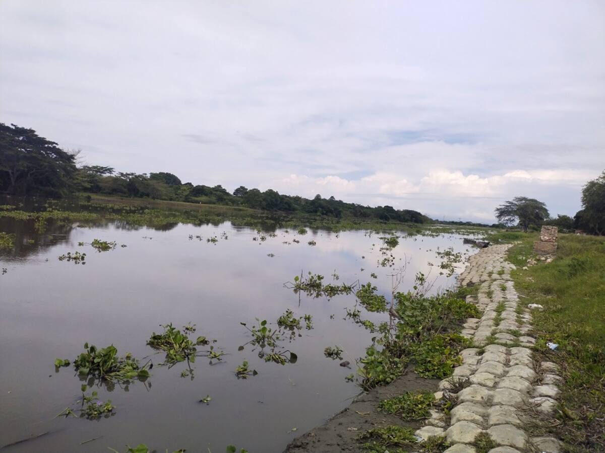 No nos acompañan ni apoyan: Procuradora critica al Gobierno por trabas de Canal del Dique