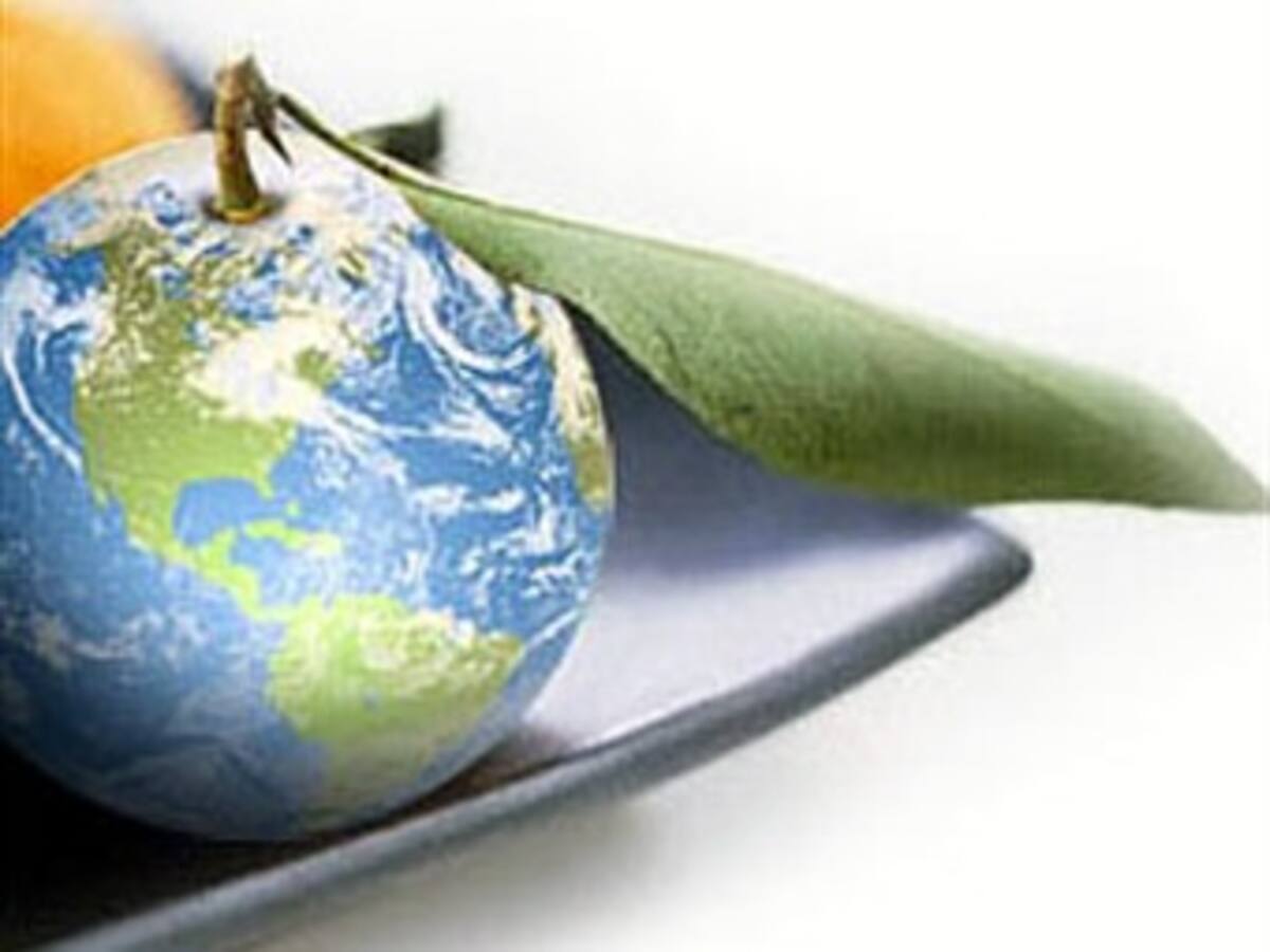 Premio de la ONU reconoce la seguridad alimentaria y el cuidado del agua